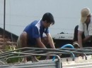 Bơm nước cho bò tăng trọng Bơm nước cho bò tăng trọng