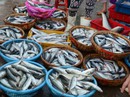 Đà Nẵng thí điểm đấu giá hải sản ở chợ đầu mối Đà Nẵng thí điểm đấu giá hải sản ở chợ đầu mối
