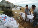 Xuất hiện El Nino, bão và lũ năm nay sẽ nhiều hơn Xuất hiện El Nino, bão và lũ năm nay sẽ nhiều hơn