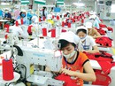 Không cần điều chỉnh thông tin trên sổ BHXH Không cần điều chỉnh thông tin trên sổ BHXH