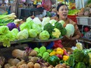 Rau củ tăng giá mạnh Rau củ tăng giá mạnh
