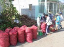 Nông sản bí đầu ra: Đừng đổ lỗi cho nông dân! Nông sản bí đầu ra: Đừng đổ lỗi cho nông dân!