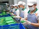 Mong manh trước hội nhập Mong manh trước hội nhập