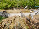 Tìm thị trường “ngách” trong hội nhập Tìm thị trường “ngách” trong hội nhập
