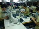 Đủ chiêu lách luật Đủ chiêu lách luật