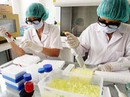 Khám, xét nghiệm miễn phí viêm gan Khám, xét nghiệm miễn phí viêm gan