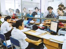 Người đứng đầu cơ quan tuyển dụng phải xác minh văn bằng của người trúng tuyển Người đứng đầu cơ quan tuyển dụng phải xác minh văn bằng của người trúng tuyển