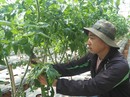 Nhiều đặc sản chuẩn bị lên kệ Nhiều đặc sản chuẩn bị lên kệ