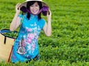 Nghi vấn cái chết của nữ doanh nhân ngành trà ở Lâm Đồng Nghi vấn cái chết của nữ doanh nhân ngành trà ở Lâm Đồng