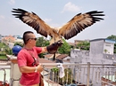 Chơi chim đại bàng Chơi chim đại bàng