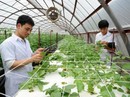 Điều tra, quy hoạch rừng có được hưởng chế độ nặng nhọc, độc hại? Điều tra, quy hoạch rừng có được hưởng chế độ nặng nhọc, độc hại?