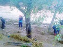 Bão số 1 gây thiệt hại nặng nề: 11 người chết và mất tích Bão số 1 gây thiệt hại nặng nề: 11 người chết và mất tích
