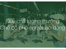 Báo cáo kế hoạch trả lương, thưởng trước ngày 31-12 Báo cáo kế hoạch trả lương, thưởng trước ngày 31-12