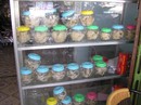 Hỗn loạn yến sào thật, giả Hỗn loạn yến sào thật, giả