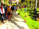 Vào vương quốc Khỉ Vào vương quốc Khỉ