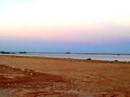 Ra biển chơi, thấy xác người đàn ông trôi dạt Ra biển chơi, thấy xác người đàn ông trôi dạt