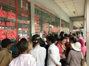 Nghỉ dài, dân ùn ùn đổ về quê ăn Tết Dương lịch Nghỉ dài, dân ùn ùn đổ về quê ăn Tết Dương lịch
