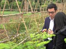 “Hot boy 9X” bỏ ngân hàng ra ngoại thành trồng rau sạch “Hot boy 9X” bỏ ngân hàng ra ngoại thành trồng rau sạch