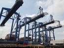 Ngành logistics “nuôi” mãi không lớn Ngành logistics “nuôi” mãi không lớn