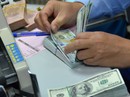 4 nhóm đối tượng vẫn được vay ngoại tệ 4 nhóm đối tượng vẫn được vay ngoại tệ