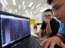 Đỏ mắt săn cổ phiếu giá bèo Đỏ mắt săn cổ phiếu giá bèo