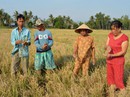 Gấp rút quy hoạch nguồn nước ở ĐBSCL Gấp rút quy hoạch nguồn nước ở ĐBSCL