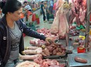Heo có “chứng minh thư” Heo có “chứng minh thư”