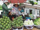 Hàng Trung Quốc lại nhái nông sản Đà Lạt Hàng Trung Quốc lại nhái nông sản Đà Lạt