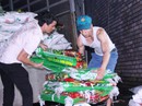 Tràn lan phân bón giả Tràn lan phân bón giả