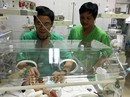 Mẹ ung thư vẫn sinh con khỏe mạnh Mẹ ung thư vẫn sinh con khỏe mạnh