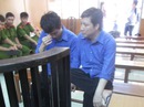 “Nuốt” hợp đồng, lừa đối tác, giám đốc hầu tòa “Nuốt” hợp đồng, lừa đối tác, giám đốc hầu tòa