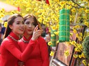 Thiếu nữ Sài Gòn duyên dáng trên "Phố ông Đồ" Thiếu nữ Sài Gòn duyên dáng trên "Phố ông Đồ"