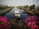 Sài Gòn tràn ngập sắc hoa Xuân Sài Gòn tràn ngập sắc hoa Xuân