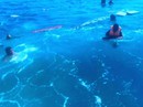 Tàu thanh tra bị “tố” đâm chìm tàu ngư dân Tàu thanh tra bị “tố” đâm chìm tàu ngư dân