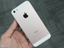 iPhone SE ruột iPhone 5 tràn ngập ở TP HCM iPhone SE ruột iPhone 5 tràn ngập ở TP HCM