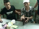 Bắt băng dùng súng vận chuyển ma túy xuyên quốc gia Bắt băng dùng súng vận chuyển ma túy xuyên quốc gia