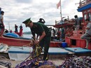 Không ai giữ hộ chủ quyền cho chúng ta! Không ai giữ hộ chủ quyền cho chúng ta!
