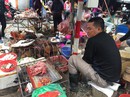 Cúm gia cầm hăm he tái xuất Cúm gia cầm hăm he tái xuất