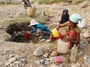 Kiệt quệ vì thiếu nước Kiệt quệ vì thiếu nước