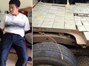 “Hùm xám Tây Bắc” và cuộc săn lùng Tàng Keangnam “Hùm xám Tây Bắc” và cuộc săn lùng Tàng Keangnam