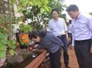 Quyết liệt với sốt xuất huyết Quyết liệt với sốt xuất huyết