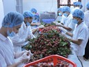 Rào cản đất đai làm khó doanh nghiệp Rào cản đất đai làm khó doanh nghiệp