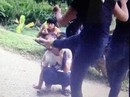 Đừng bàn nữa, phải hành động ngay! Đừng bàn nữa, phải hành động ngay!