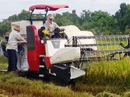 Giành địa bàn gặt lúa, chém 2 chú cháu trọng thương Giành địa bàn gặt lúa, chém 2 chú cháu trọng thương