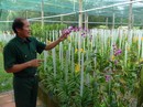 Làm giàu mảnh đất cha ông Làm giàu mảnh đất cha ông