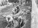 Toàn quốc kháng chiến: Đi theo tiếng gọi non sông Toàn quốc kháng chiến: Đi theo tiếng gọi non sông