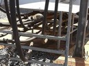 Kenya: Cả nước mất điện vì một con khỉ Kenya: Cả nước mất điện vì một con khỉ
