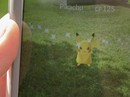 Quá mê trò Pokemon Go, chuyên viên gốc Việt bị sa thải Quá mê trò Pokemon Go, chuyên viên gốc Việt bị sa thải