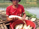 Nhà máy xả thải ra sông khiến cá chết hàng loạt Nhà máy xả thải ra sông khiến cá chết hàng loạt