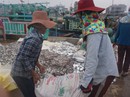 Những "bóng hồng" ở cảng cá Sa Kỳ Những "bóng hồng" ở cảng cá Sa Kỳ